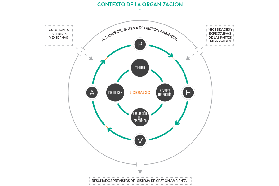 ciclo-mejora